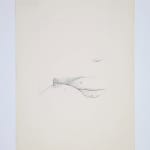Nil Yalter, Pink Tension, 1969