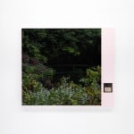 Thomas Kuijpers, Disk 098, Bridge, 2024
