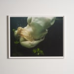 Mariken Wessels, Nude, Water and Green Leaves II, 2018