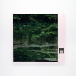 Thomas Kuijpers, Disk 098, Bridge, 2024