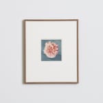 Ruth van Beek, Untitled (New Arrangements), 2014