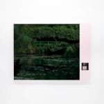 Thomas Kuijpers, Disk 095, Bridge, 2024