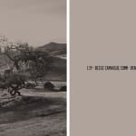 Mathieu Asselin, Undefined Landscape BMW Serie 7 2016 & 139 - Beige Camargue Comm - Renault, 2023
