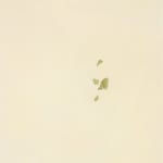 aurèce vettier, element/le4f/2, 2023
