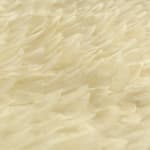 Zoé Imber, Lunaria annua, 2023