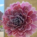 Marianne Eriksen Scott-Hansen, Coral