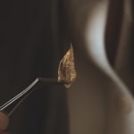 Zoé Imber, Lunaria annua, 2023