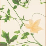 aurèce vettier, montagne / peradam, 2023