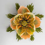 Marianne Eriksen Scott-Hansen, Coral