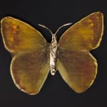 aurèce vettier, element/le4f/2, 2023