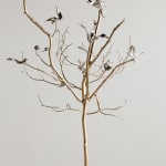 aurèce vettier, element/le4f/2, 2023