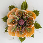 Marianne Eriksen Scott-Hansen, Coral