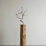 aurèce vettier, element/le4f/2, 2023