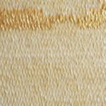 Zoé Imber, Lunaria annua, 2023