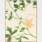 aurèce vettier, montagne / peradam, 2023