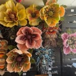 Marianne Eriksen Scott-Hansen, Coral
