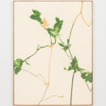 aurèce vettier, montagne / peradam, 2023