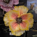 Marianne Eriksen Scott-Hansen, Coral