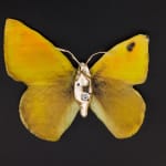 aurèce vettier, element/le4f/2, 2023