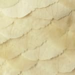 aurèce vettier, Painting, ghosts encountered on the road to Castellane as the world enters into resonance