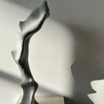 aurèce vettier, a dark bird in a child's ear (after the landslide), 2025