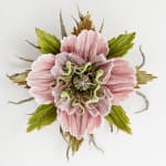 Marianne Eriksen Scott-Hansen, Coral