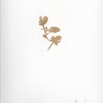 aurèce vettier, element/le4f/2, 2023