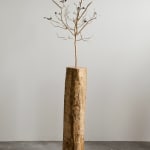 aurèce vettier, element/le4f/2, 2023