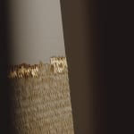 Zoé Imber, Lunaria annua, 2023