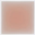 Gwen Hardie, 11.19.21, pale pink on raw umber, 2021