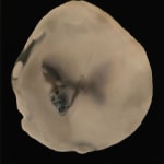 aurèce vettier, element/le4f/2, 2023