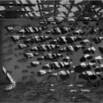 John Divola, Zuma #75, 1977