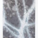 Lucas Dupuy, Waiting For, 2023