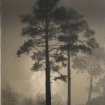 Fiona Fouhy, Day Break