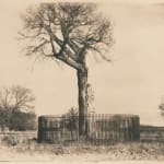 Epha J. Roe, Son of Royal Oak, Boscobel, photograph