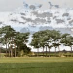 Ian Sidaway, Trees at Wells Next the Sea, oil on canvas