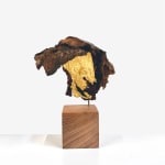 Elpida Hadzi-Vasileva, The Gilded Elm