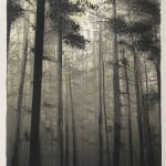 Anne Desmet R.A., Bath Circus III, 1998