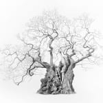 Mark Frith, The Old Man of Calke, print