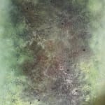 Jay Mikal, LABONI'S LANDING +001, 2025