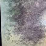 Jay Mikal, LABONI'S LANDING +001, 2025