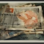 Aurélien Couput, Wood in a Cabin (inside out), 2024