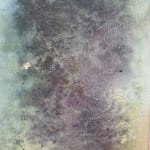 Jay Mikal, LABONI'S LANDING +001, 2025