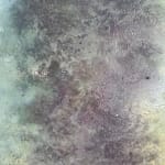 Jay Mikal, LABONI'S LANDING +001, 2025