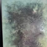 Jay Mikal, LABONI'S LANDING +001, 2025