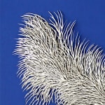 Barbara Wildenboer, The Winged Victory, 2021