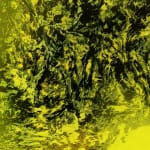 António Faria, Untitled, 2025