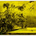 António Faria, Untitled, 2025
