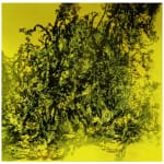 António Faria, Untitled, 2025