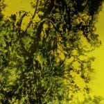 António Faria, Untitled, 2025